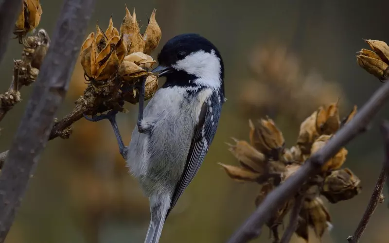 挽回男友机构：挽回男友最有效的五个方法