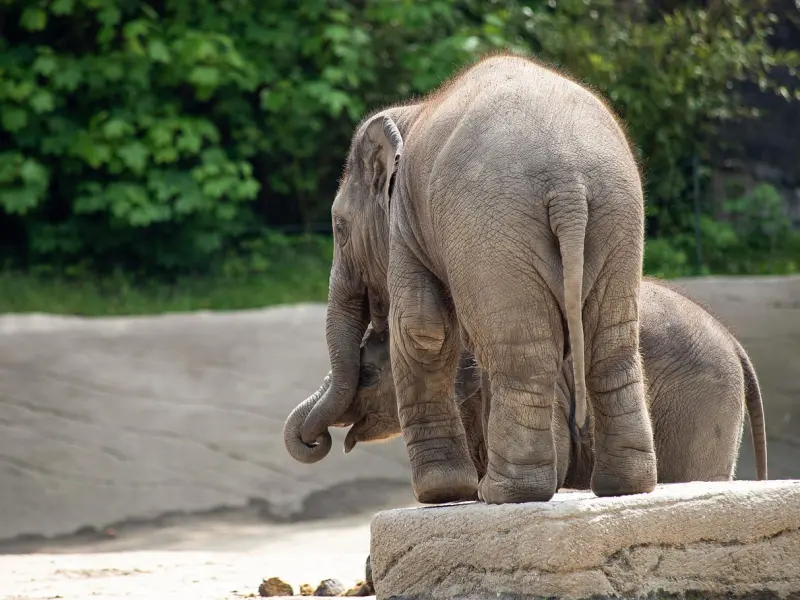 挽回男朋友：和男朋友分手之后这样做能快速挽回他