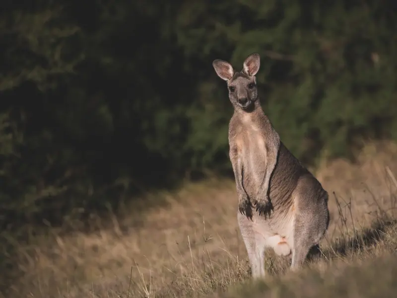 挽回巨蟹座男友：巨蟹座男友伤透心该怎么挽回？这三招教你挽回？