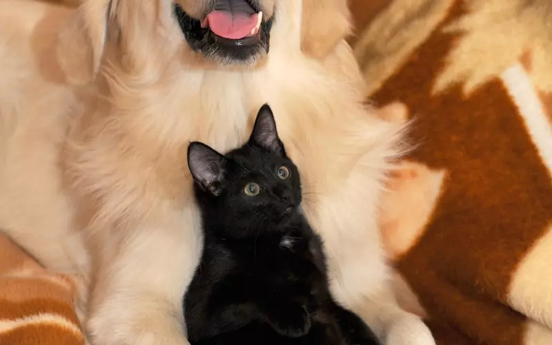 挽回金牛男友系列：和金牛座分手怎么挽回