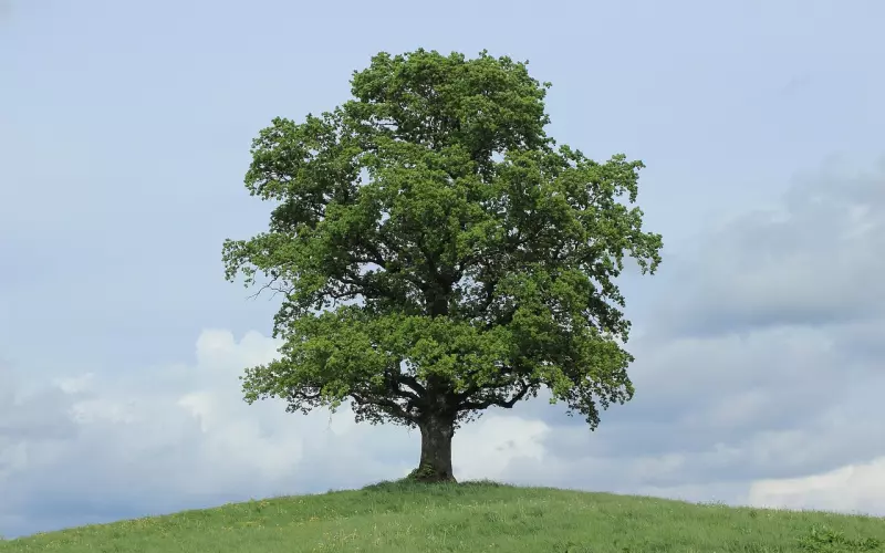 分手后挽回：四个方法轻松挽回前男友