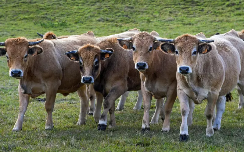 分手后挽回：四个方法轻松挽回前男友