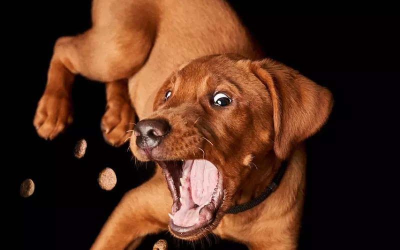 挽回中：抓不住问题的实质，再精致的套路也是白搭！