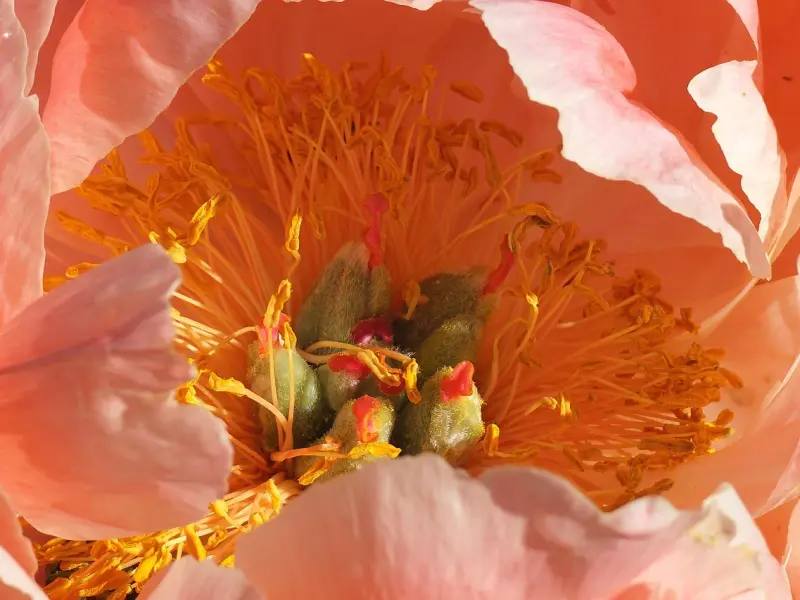 挽回爱情：如何挽回已经分手的前女友