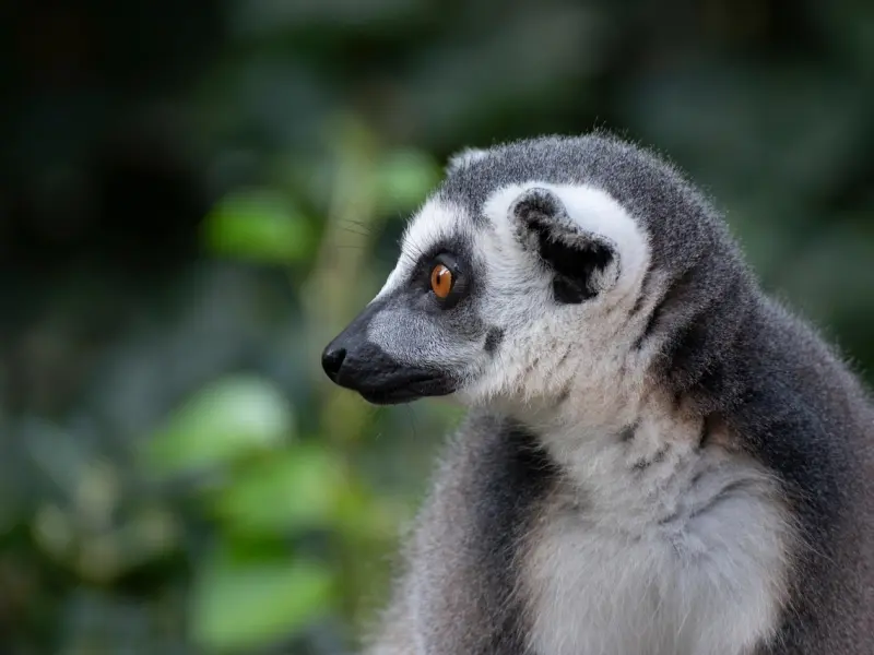 分手后挽回男友：挽留男友，首先要知道分手的原因