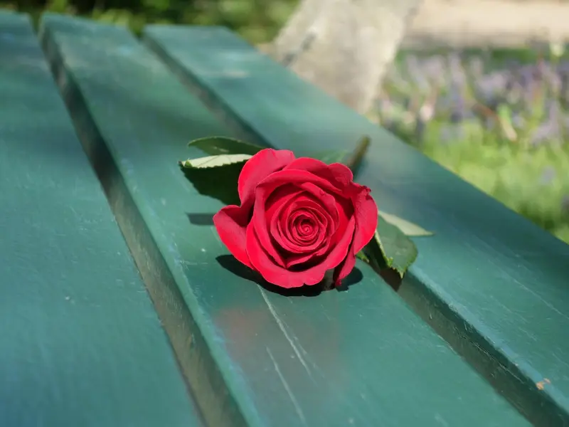 挽回男友的感情：男友喜欢上别人，该怎么挽回？