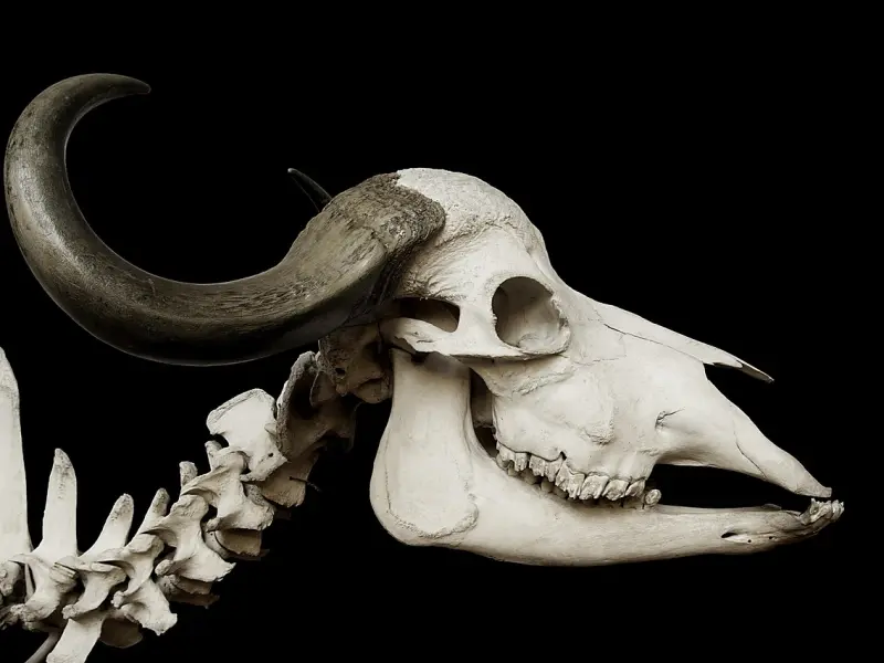 挽回前任：分分合合的爱情到底要怎么挽回？