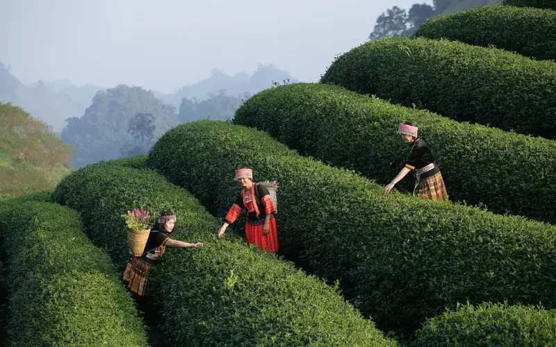 分手挽回女友：挽回女友，不可不知的几条实战经验