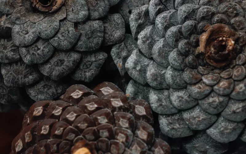 分手挽回女友：女朋友要分手，怎么挽回女友的感情