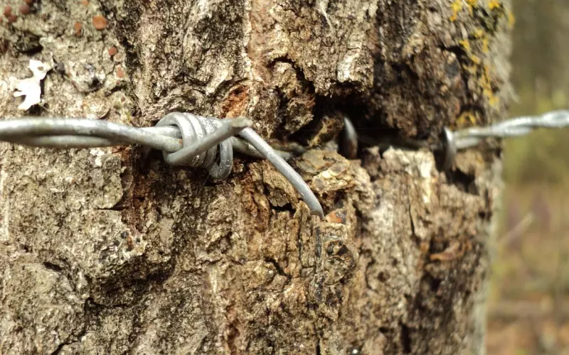 挽回案例分析：我们都固执，但如何舍得放手？