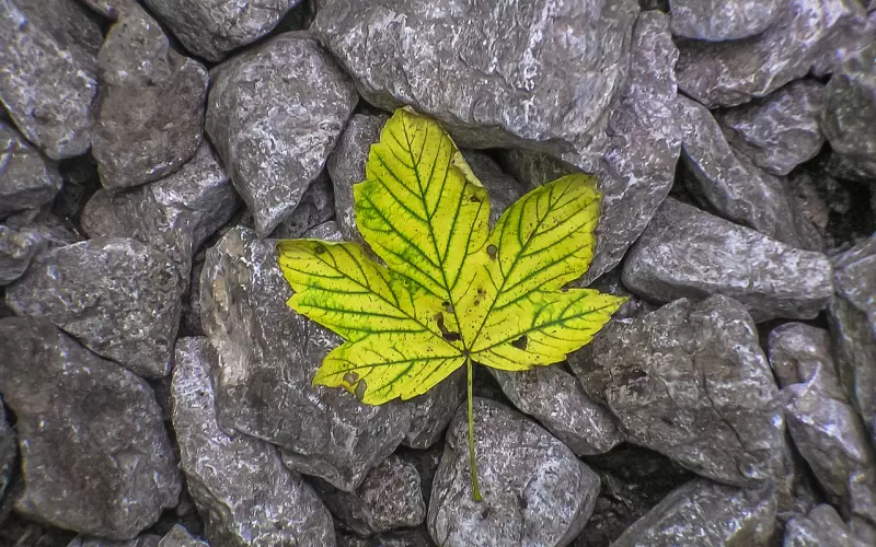 挽回案例分享：如何通过一封信把他挽回？挽回死心老婆的一封信