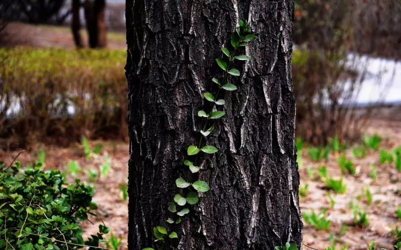 挽回要依靠心理学