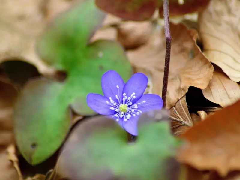 挽回：失恋了，首先需要做的是什么？