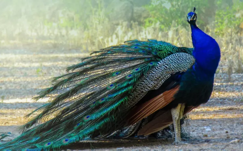 挽回其实就是由孩子到大人的过程