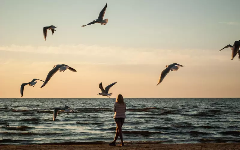 挽回是讲求时机的!千万不要错过挽回的好机会