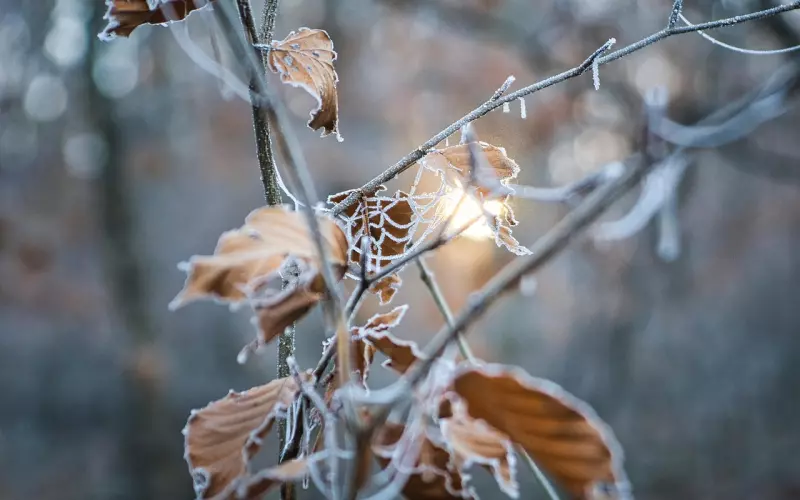 挽回不仅是套路与智慧的较量，而是再一次滋润他已经干涸的心