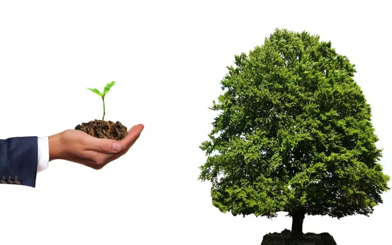 挽回是一件需要花费时间和功夫的事，你要学会有耐心