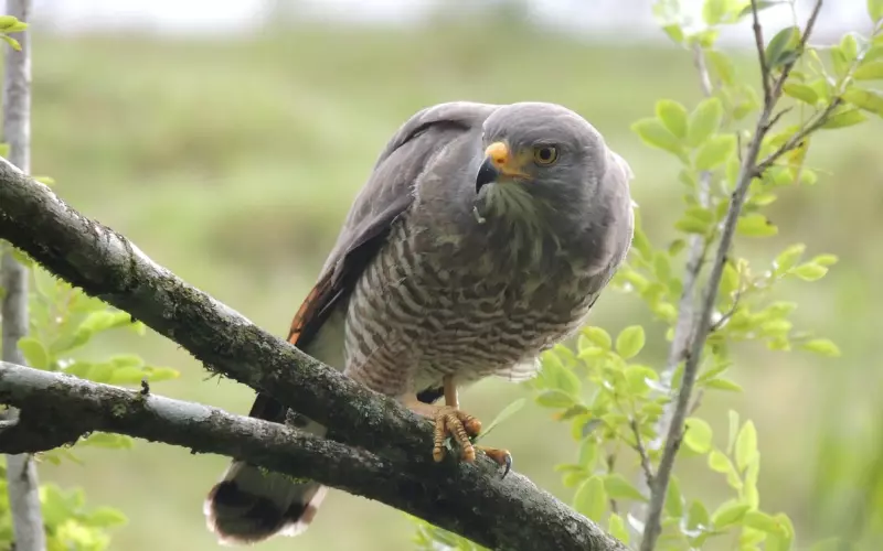挽回，有时就在这一念之间，看你怎么把握！