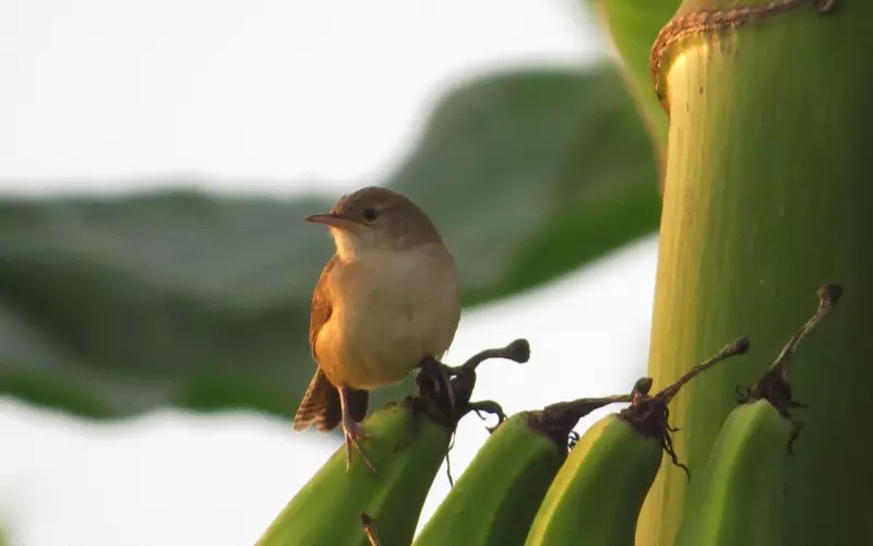 挽回，有时就在这一念之间