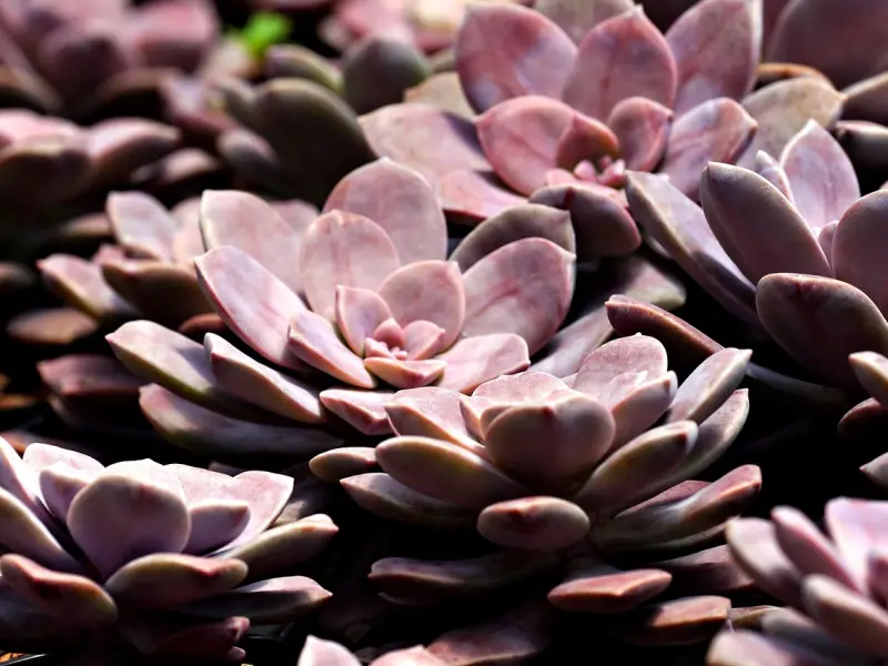 挽回成功！【乏味人生】の成功感言！