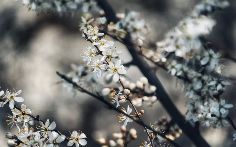 挽回方法：挽回男友先从挽回自己的生活开始