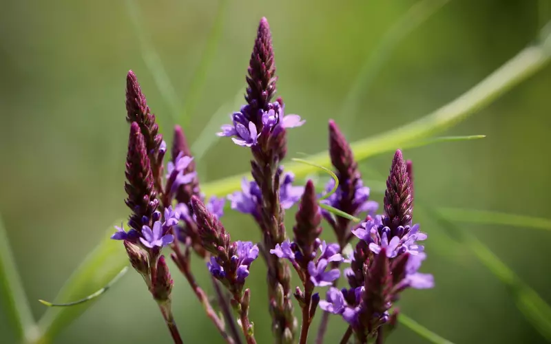 挽回必须对症下药，而这一招是所有挽回中屡试不爽的灵丹妙药！