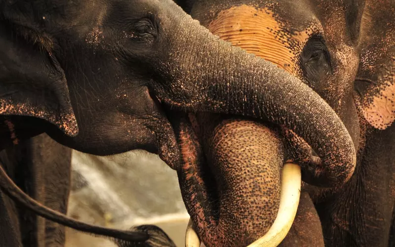 挽回需大招“预选”，技巧用对，即刻挽回