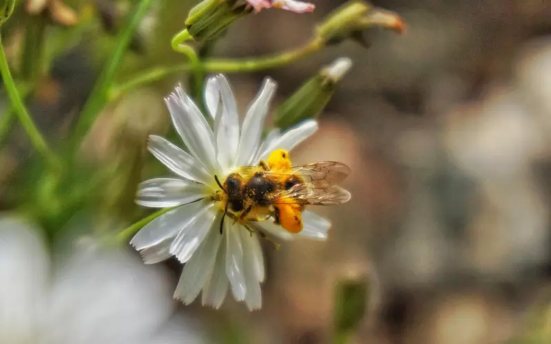 挽回技巧：正确挽回女友的方法，如何挽回一个女朋友心