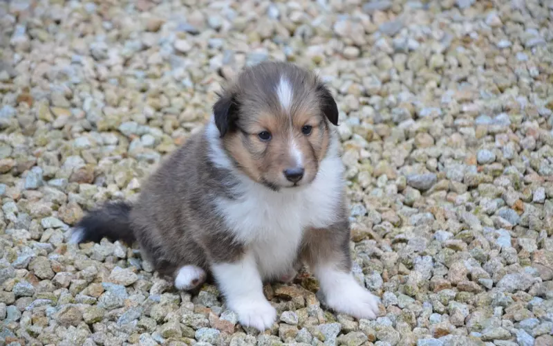 挽回技巧，分手拉黑后该如何复联