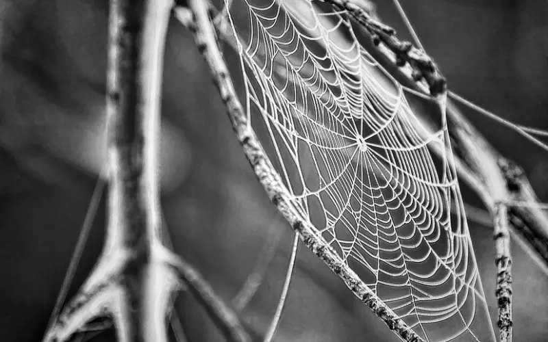 挽回技巧：网恋分手如何复合？