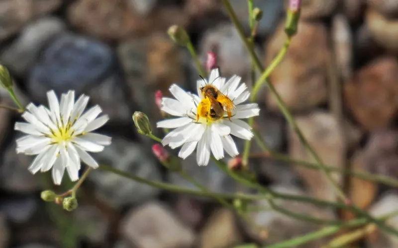 挽回技巧：如何正确的挽回一个男人