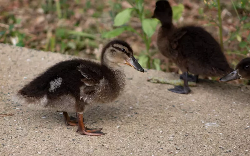 挽回技巧：男友坚持分手如何挽回？