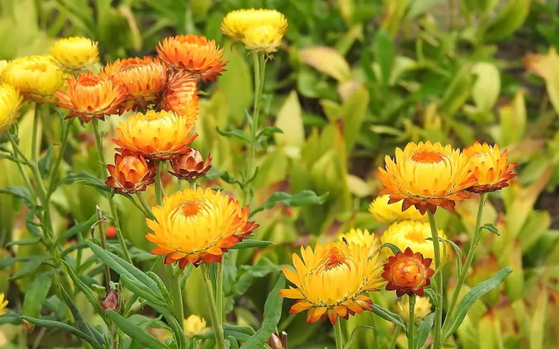 挽回攻略：如何挽回男人，让他从此永不变心