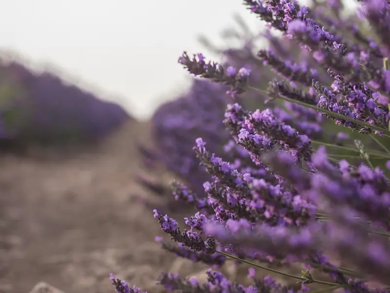 【挽回技巧】为什么分手之后要冷处理