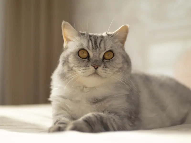 挽回丨女人请你不要用尊严来挽回一段不值得的感情