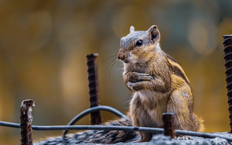 挽回七宗罪——贪婪