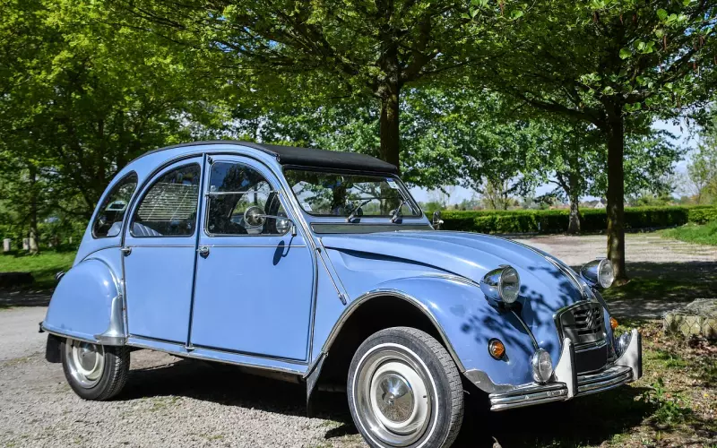 挽回报复两不误，你要一雪前耻