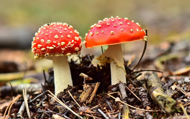 挽回心理：明明很想在一起，却又把对方推开，到底是怎么了？