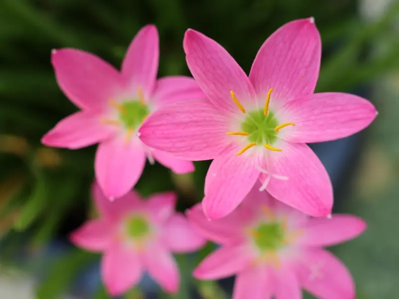 挽回秘籍：感情挽回最实用的四个方法