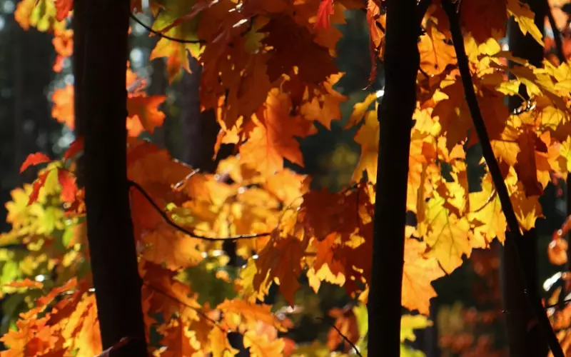 减少情绪价值索取 挽回男友的心