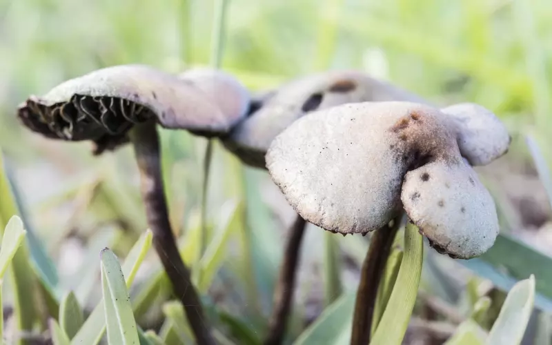 挽回已经有新欢的男友不能踩的误区