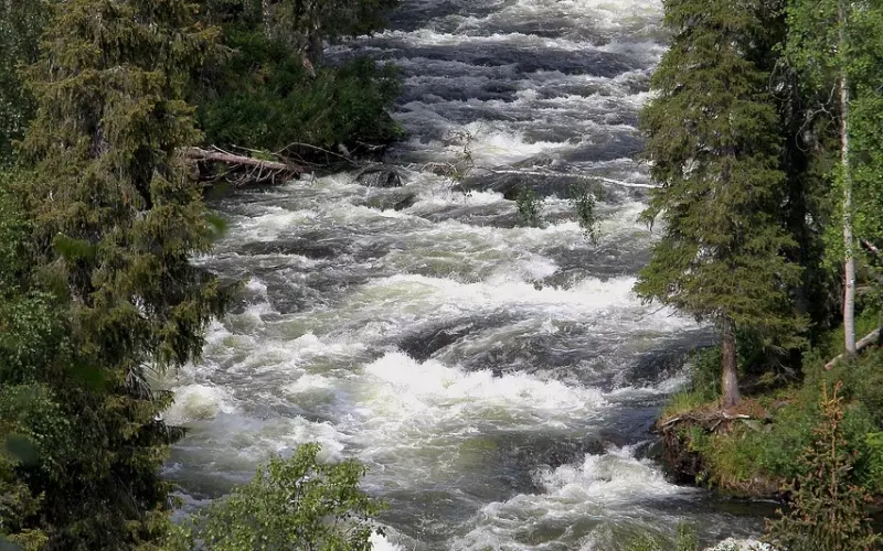 关于爱情，从来只是自己的事