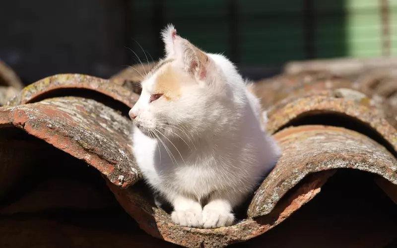 关于挽回中 我们应该正确的认识以下问题?