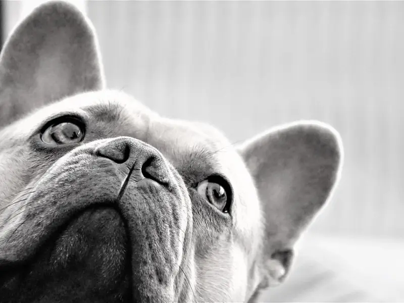 无论男女，删除拉黑你的人，就别再爱了