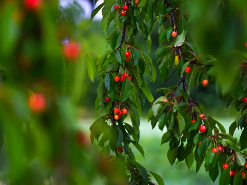 感情，从来不是靠一个人去维系