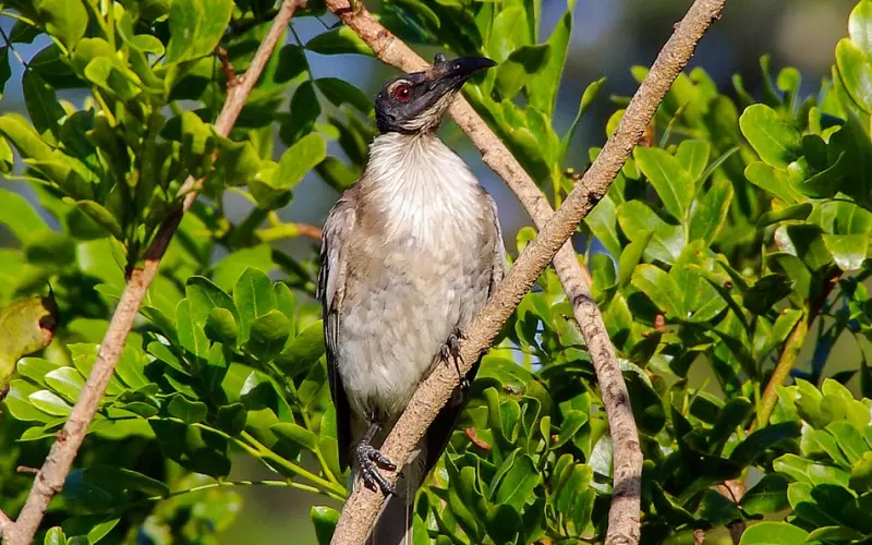 感情不怕吵，就怕没话说