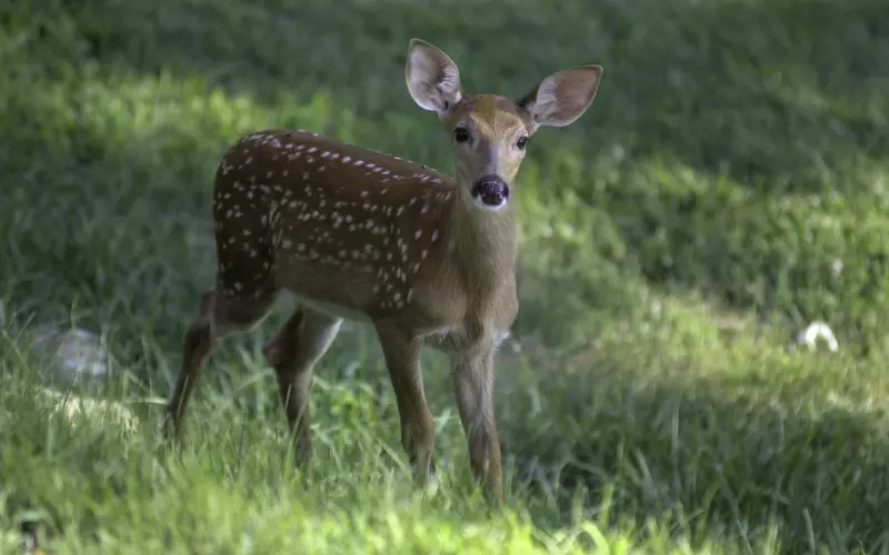 切记挽回千万不能讨好纠缠