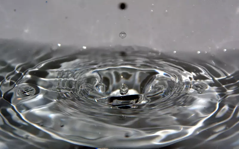 记住别人的“滴水之恩”