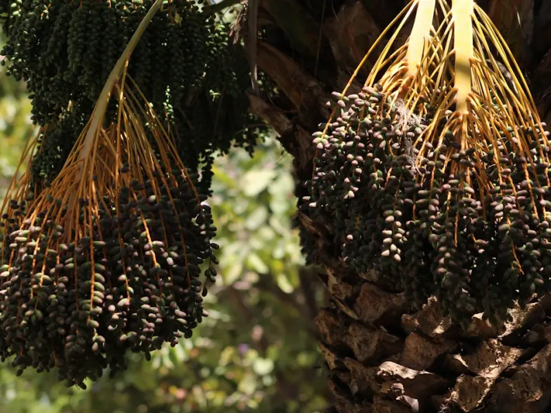 记住一句话：越努力，越幸运……