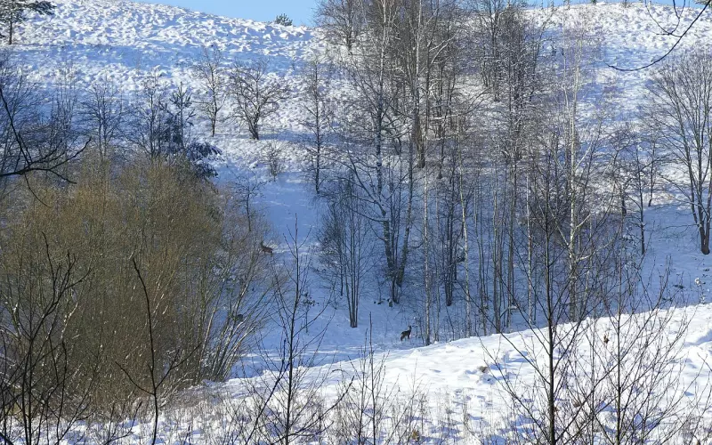 记住了：除了自己，谁都指望不上
